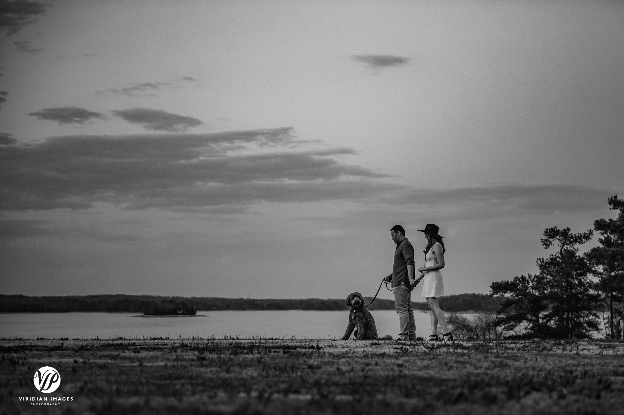 pineisle resort walking dog