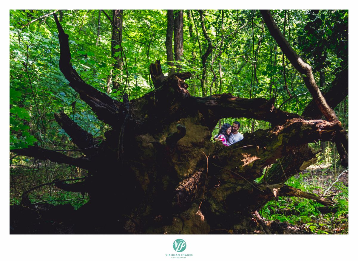 Chattahoochee Atlanta camping through trees engagement 