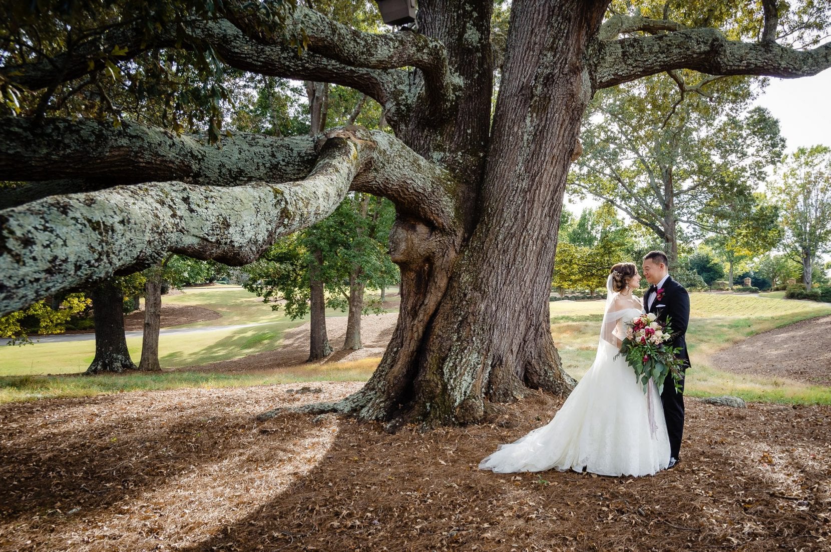 bride and groom portrait under large oak tree