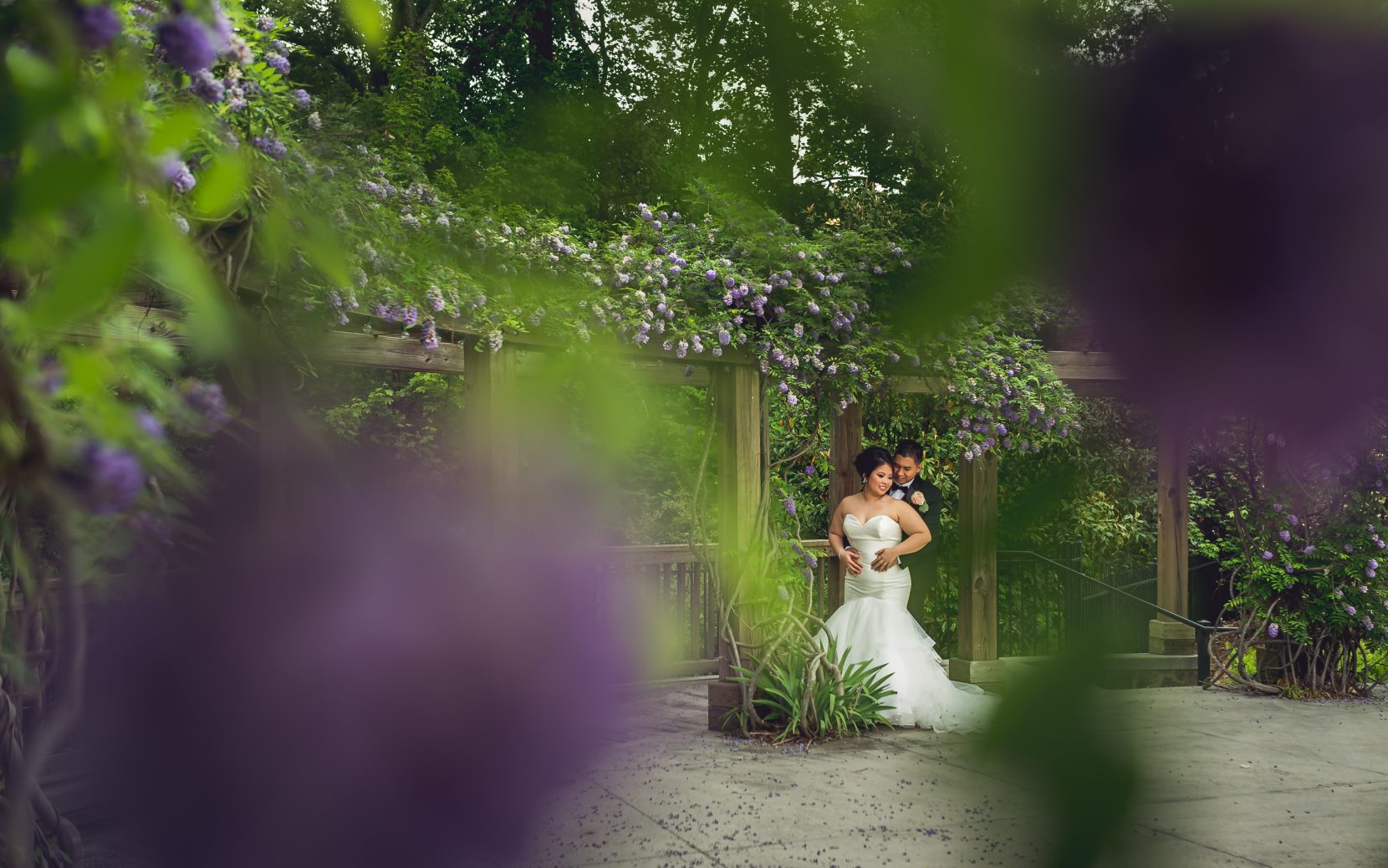 romantic portrait through under an arbor of purple wisteria flowers