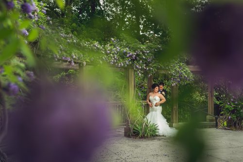romantic portrait through under an arbor of purple wisteria flowers