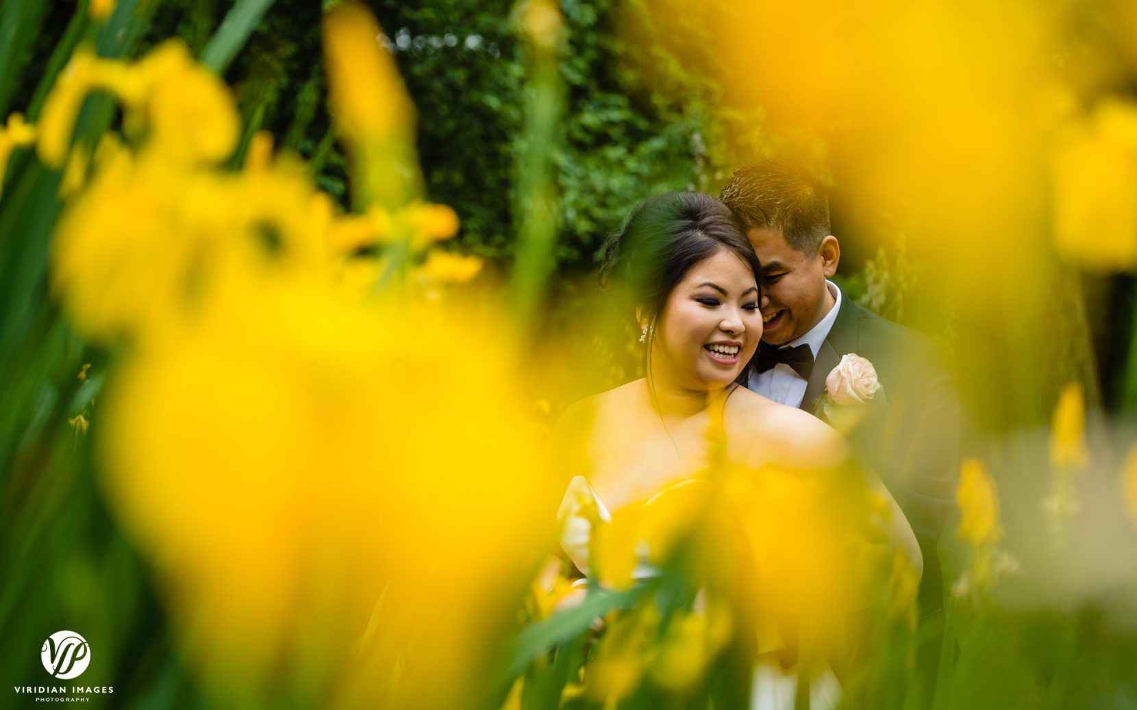 bride and groom through yellow flowers portrait