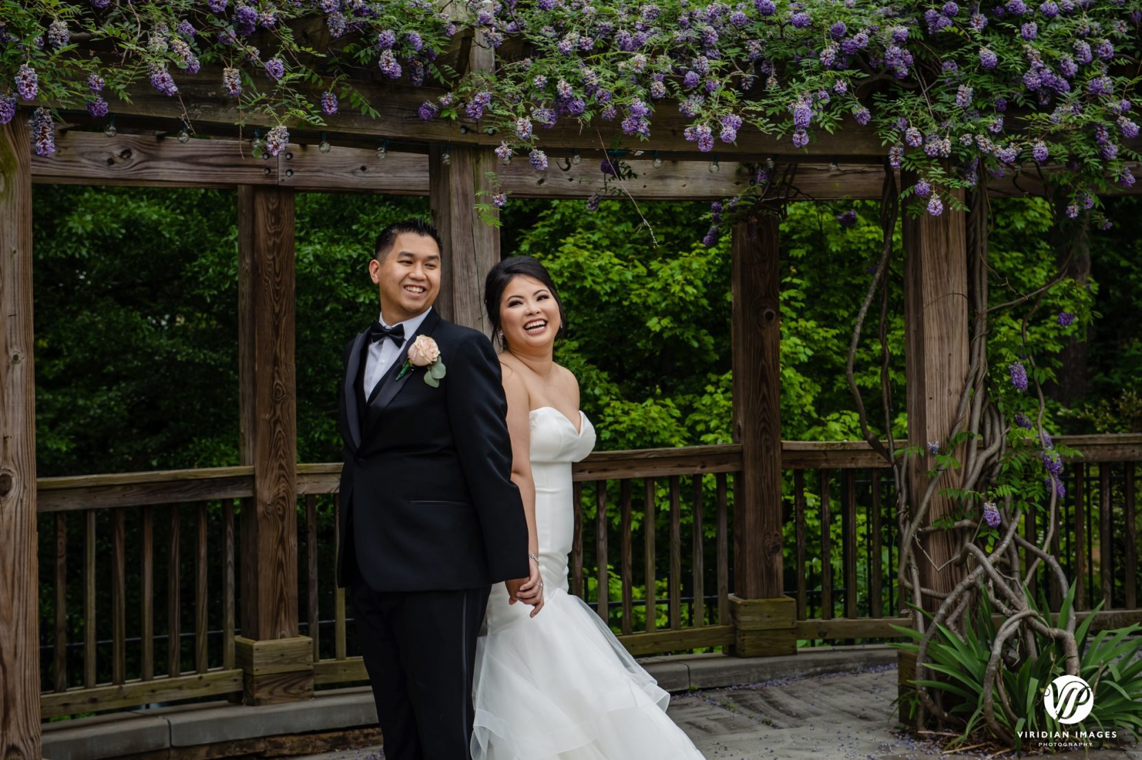 bride and groom back to back under purple wisteria vine trellis