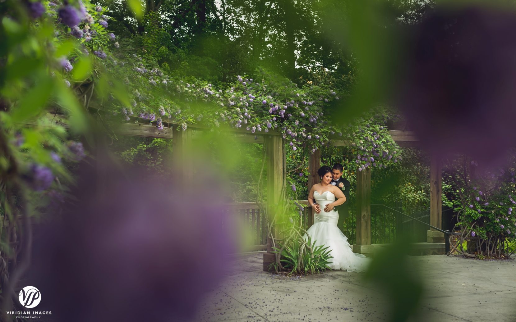 romantic portrait through wisteria vines