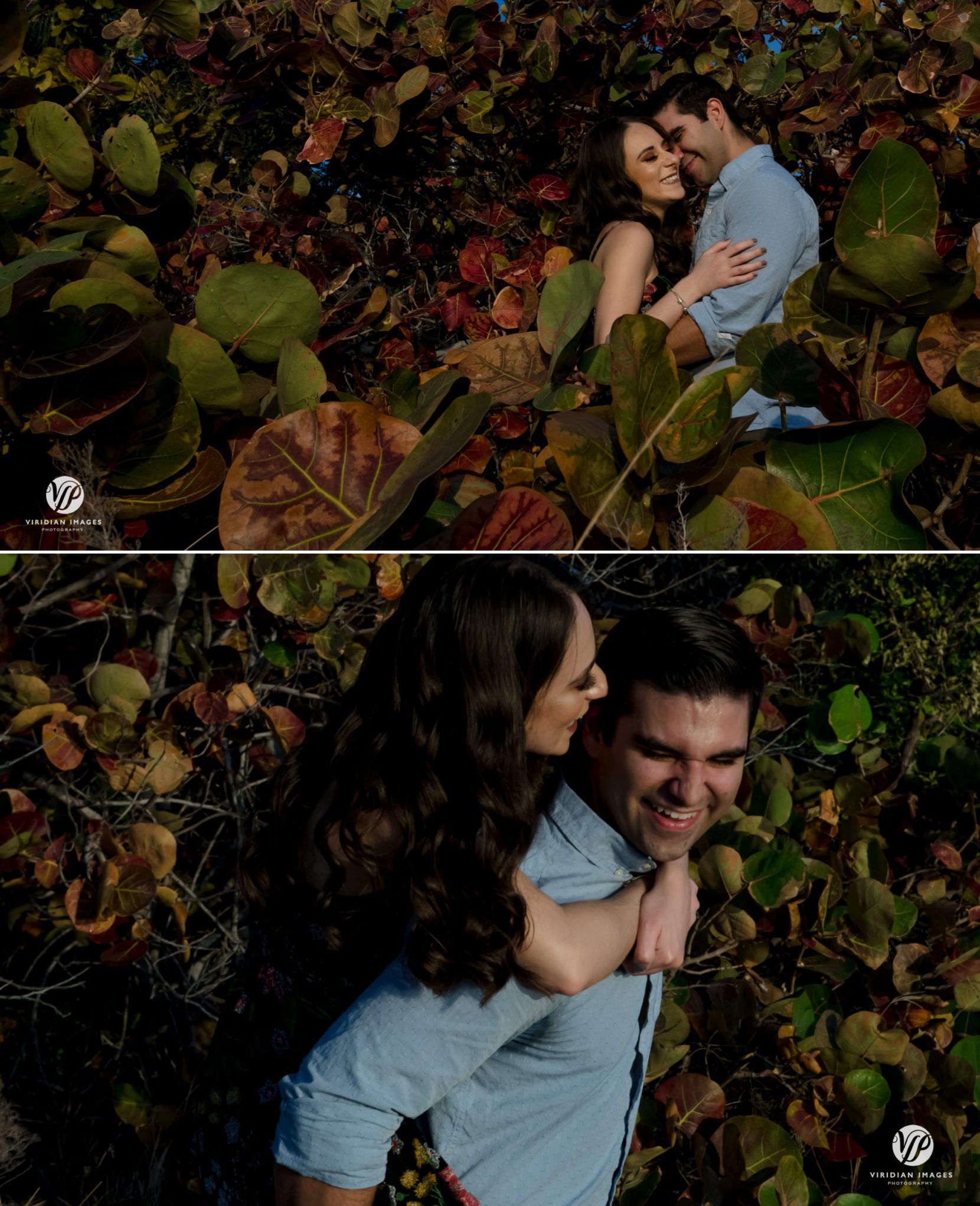 couple hugging inside brown and green sea grape leaves