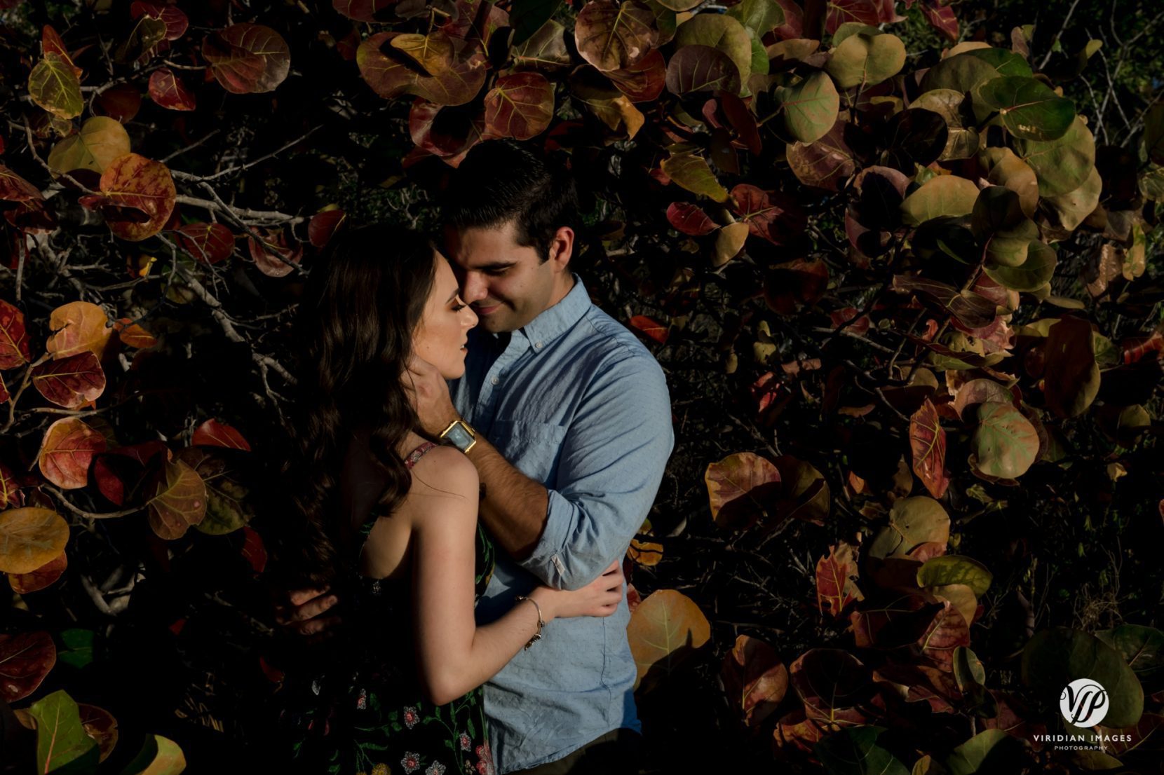 romantic couple moment surrounded by sea grape leaves