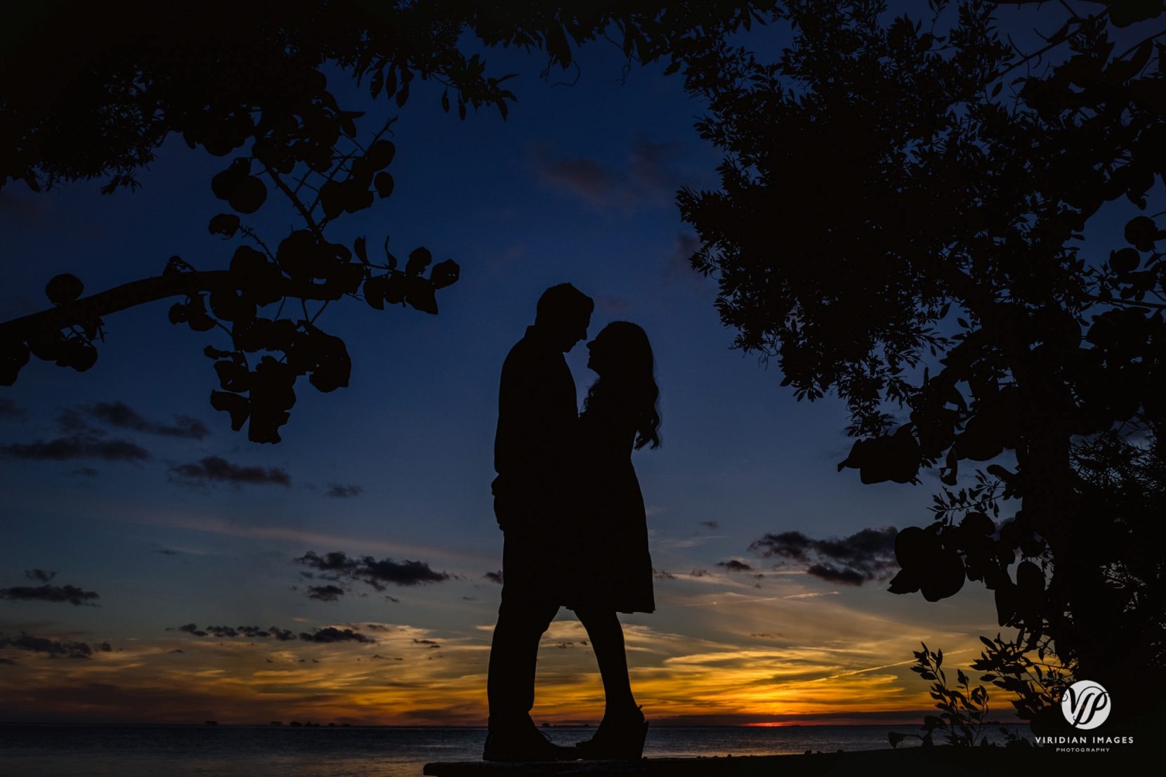 silhouette of couple facing each other during sunset surrounded by trees and leaves