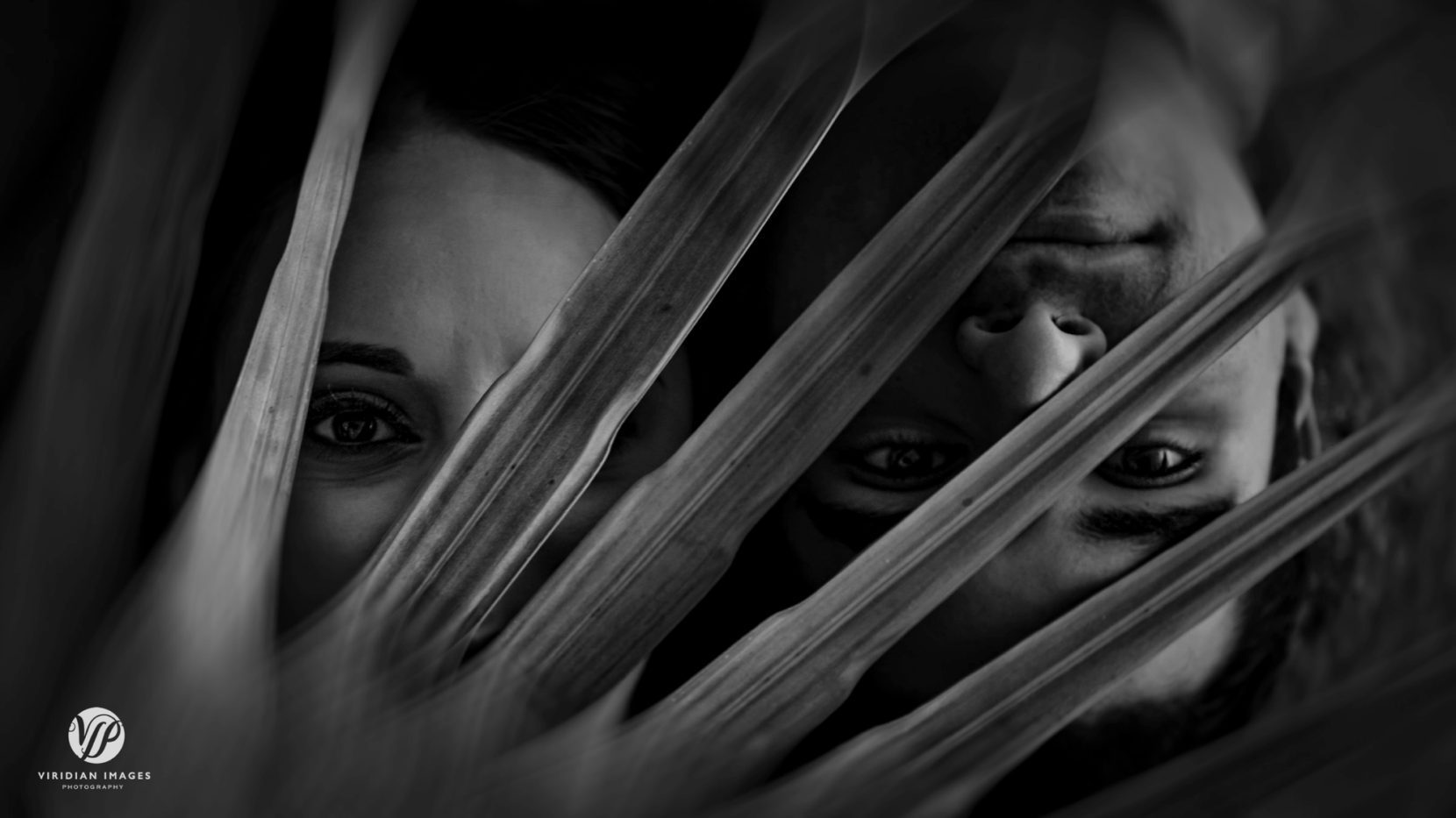 creative couple portrait with palm fronds 