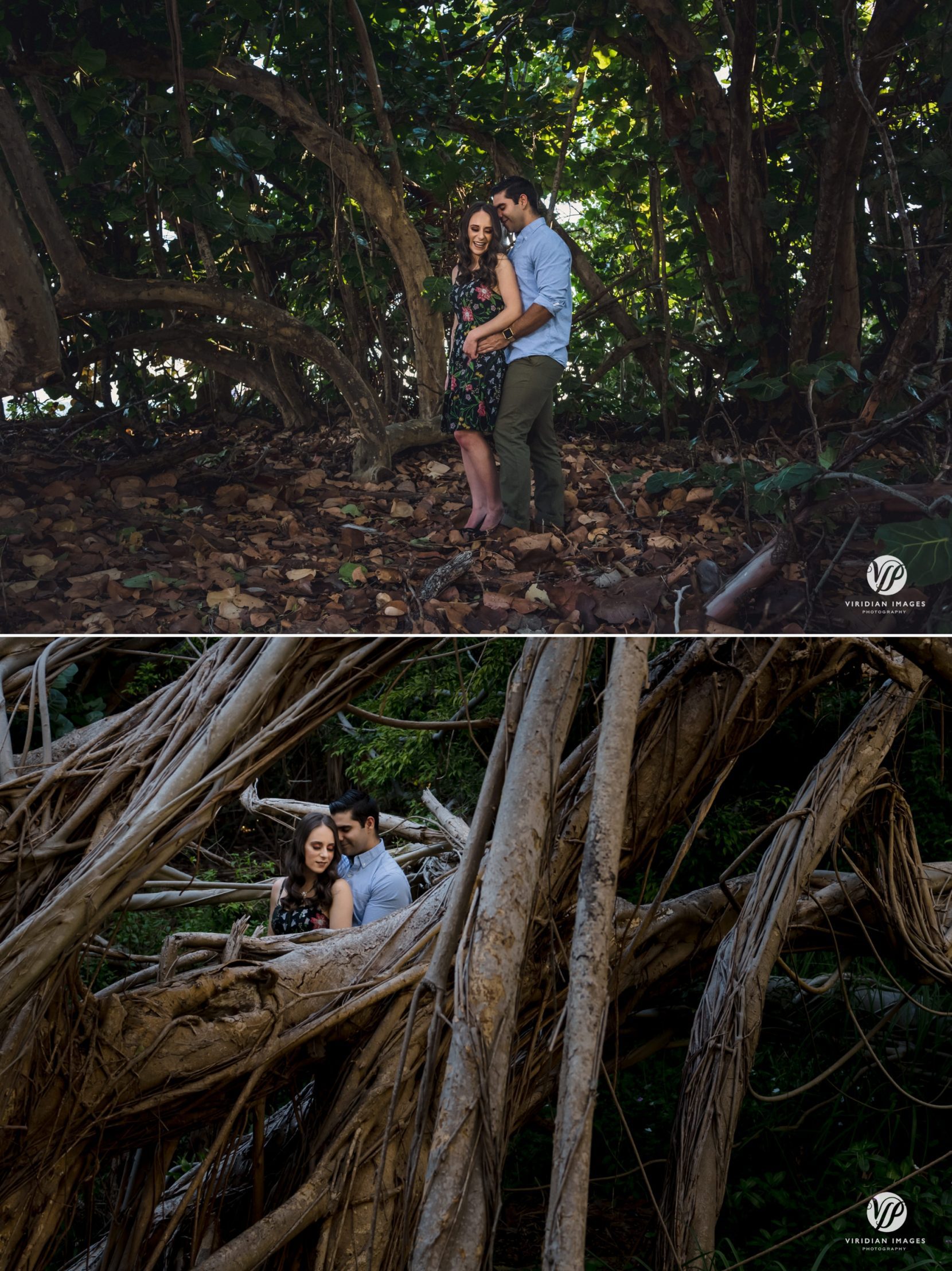 couple smiling and laughing under the mangroves