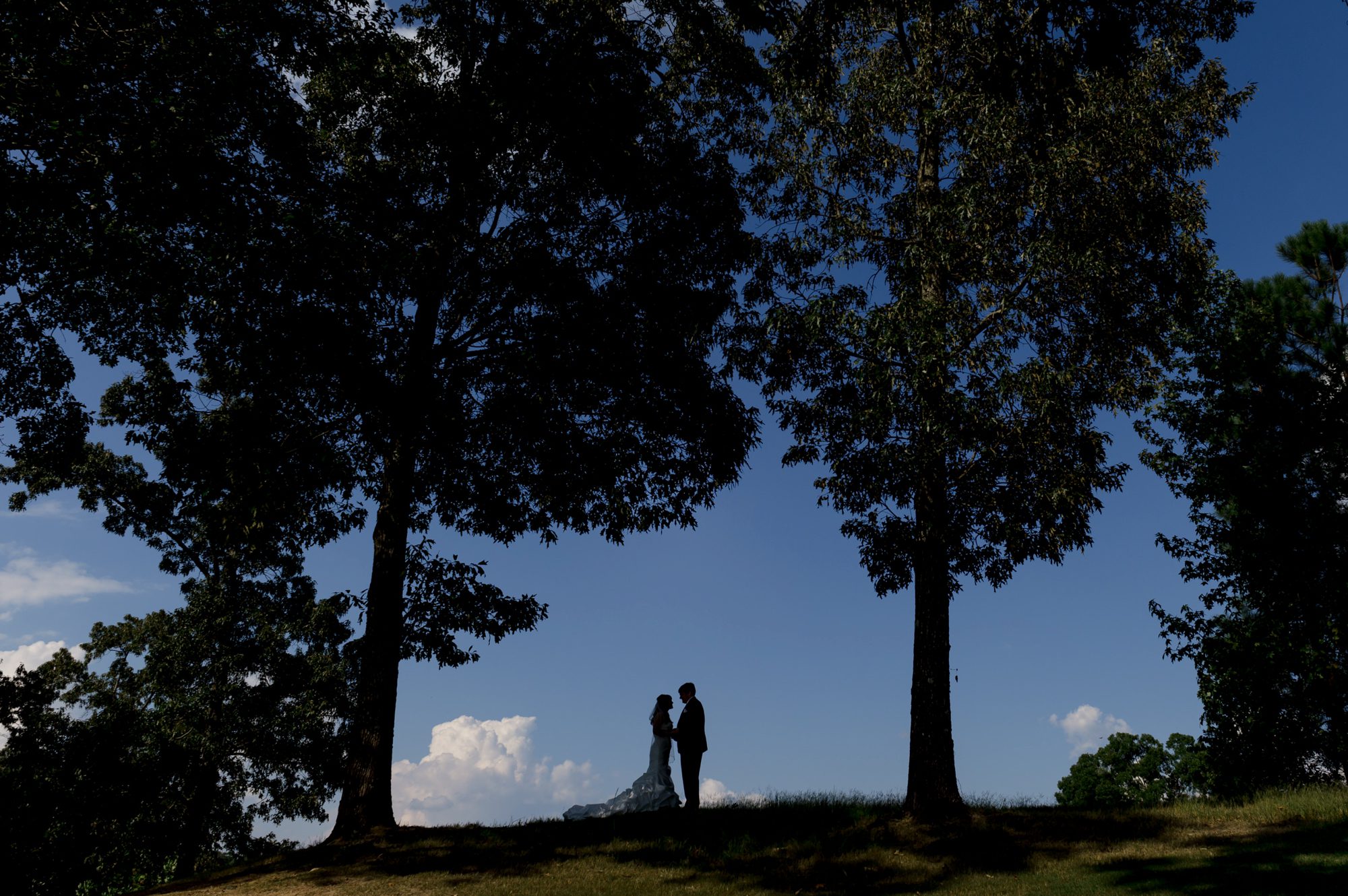 silhouette of bride and groom on a ridge surrounded by blue skies and tall trees. Princess Bride style