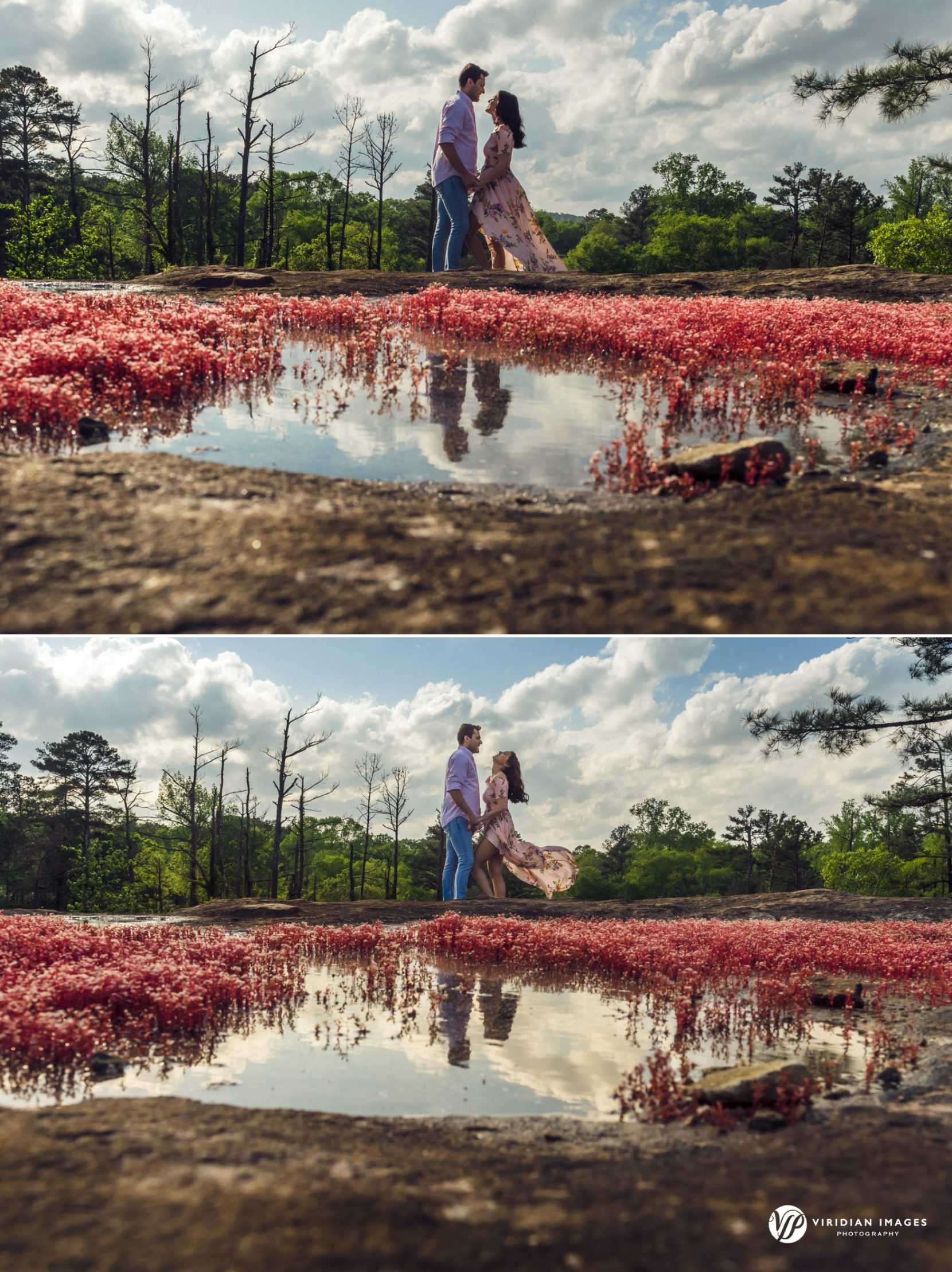 Red Diamorpha succulents blooming on Arabia Mountain with engaged couple in the background