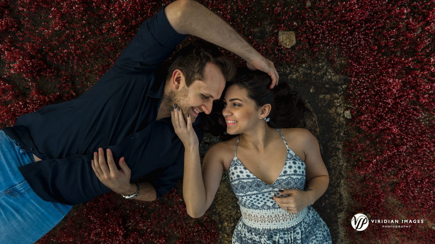 couple lying on granite rock surrounded by red diamorpha succulents during engagement session