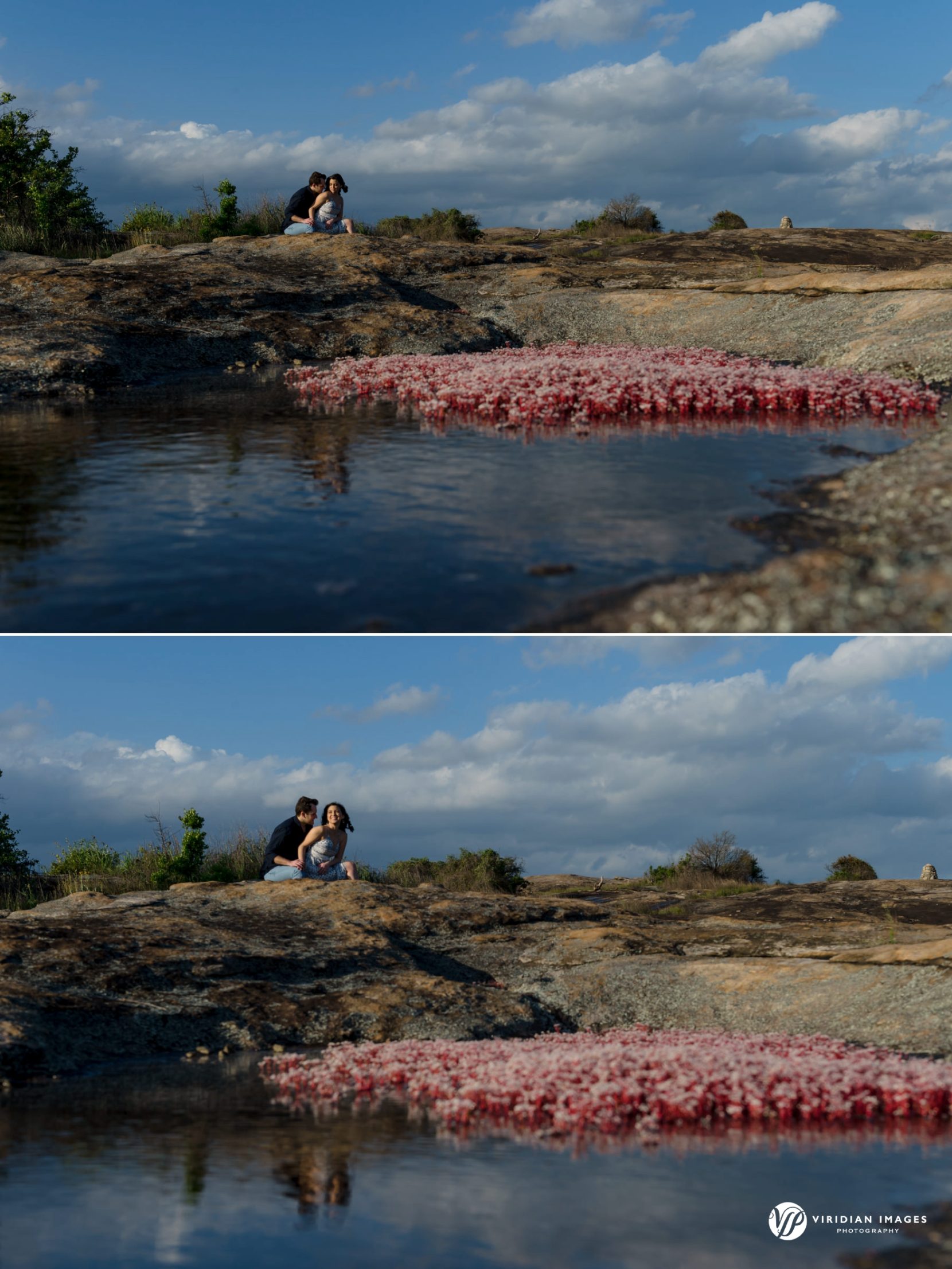 Couple sitting close on the rocky landscape with Diamorpha succulents in the foreground at Arabia Mountain spring engagement photoshoot