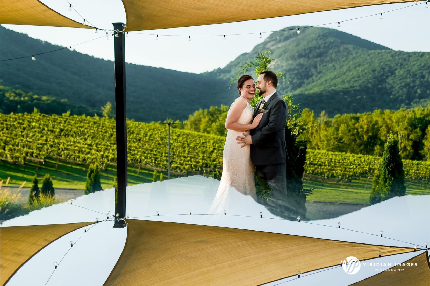 Bride and Groom first dance under string light with rows of vines and Yonah Mountain behind them