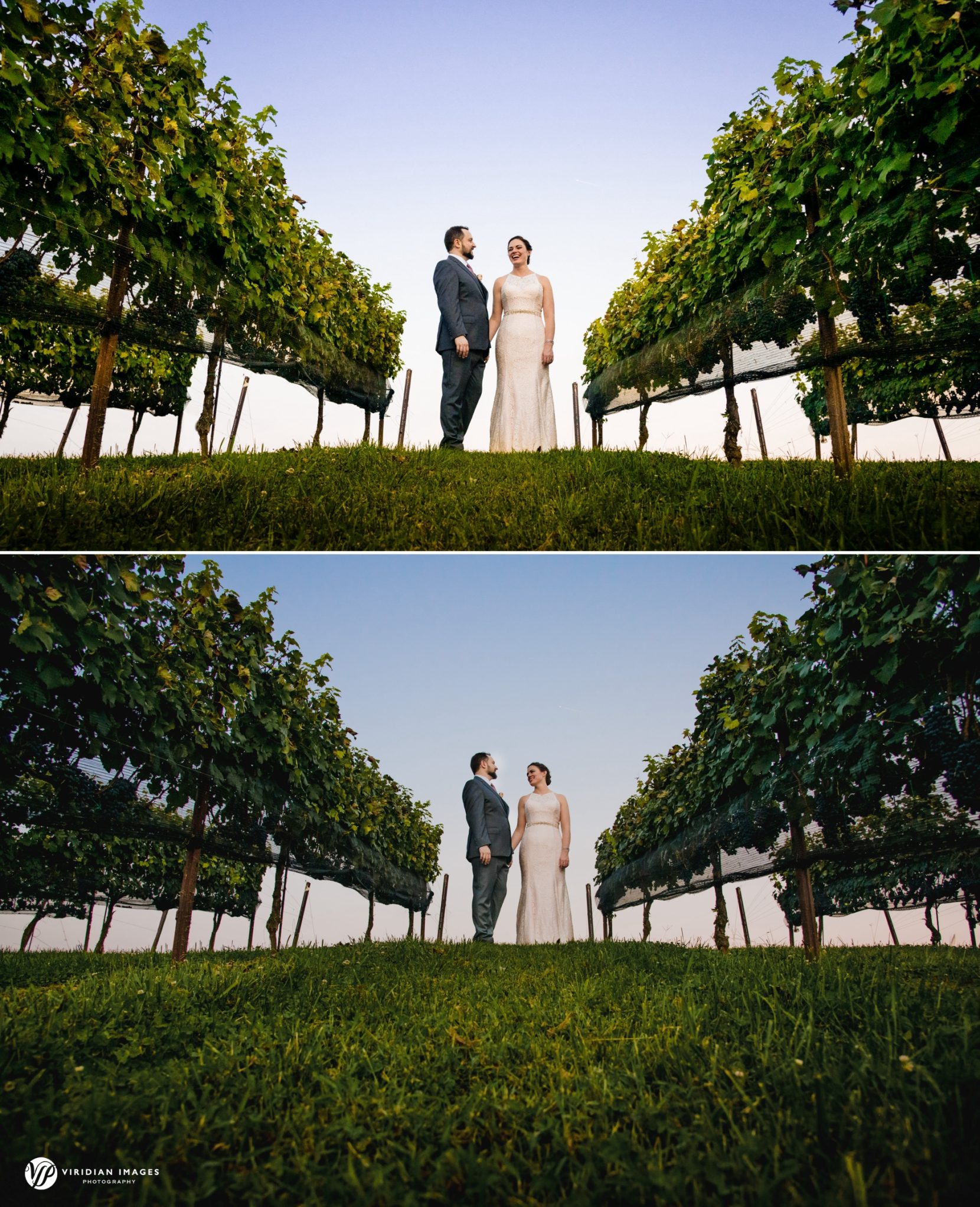 bride and groom sunset portraits at vineyard at Yonah Mountain Vineyard during golden hour