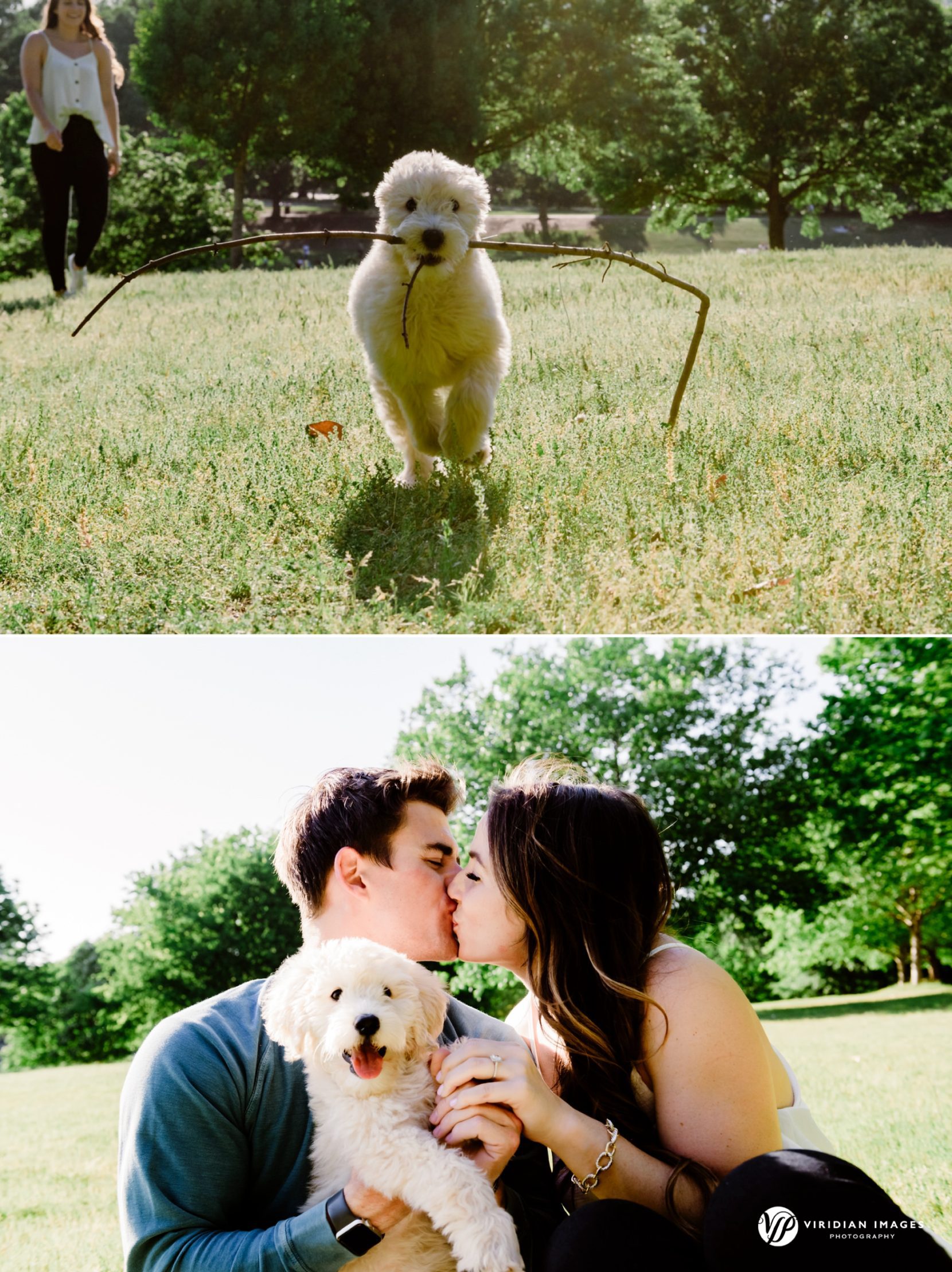 Couple cuddling with golden doodle and running with stick in meadow