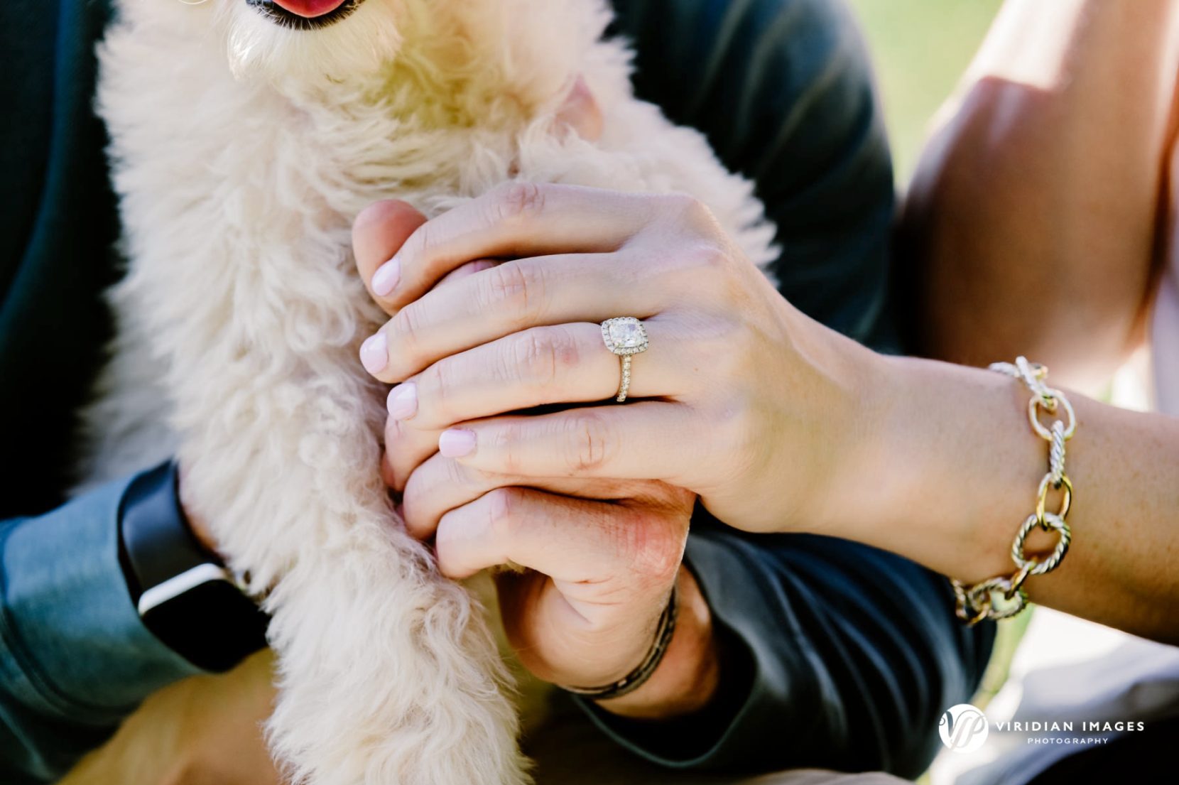 Ring close-up holding hands with golden doodle during engagement session at Piedmont Park