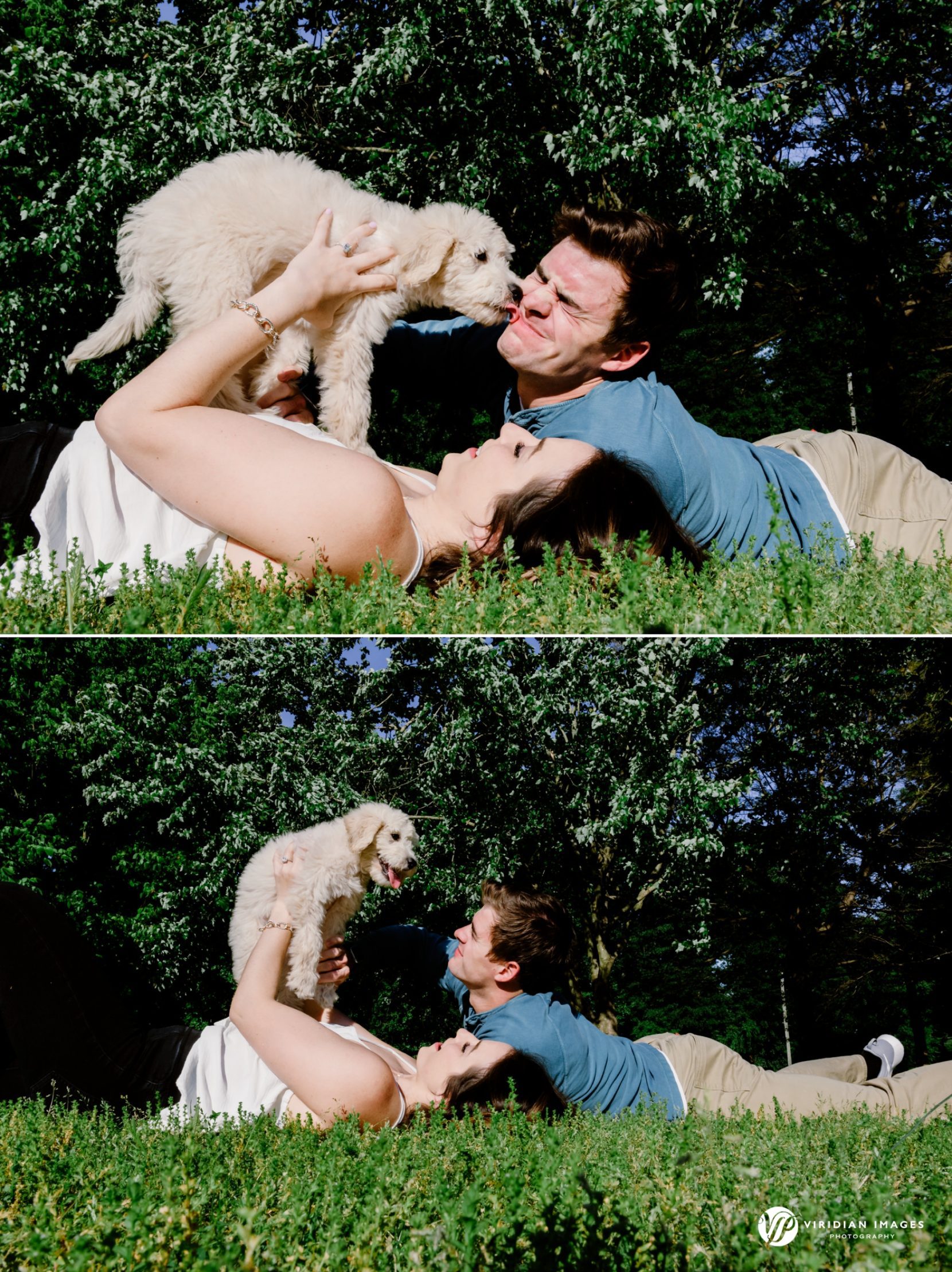 Couple rolling on grass with golden doodle licking man during engagement session at Piedmont Park Atlanta