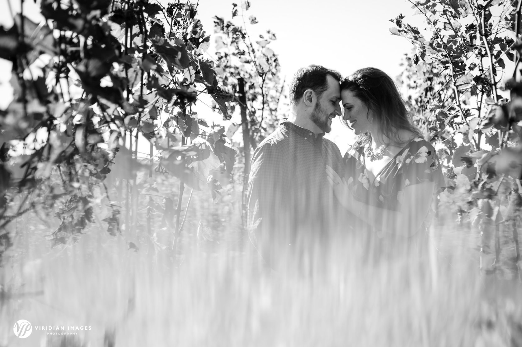 Romantic couple standing together through vineyard rows