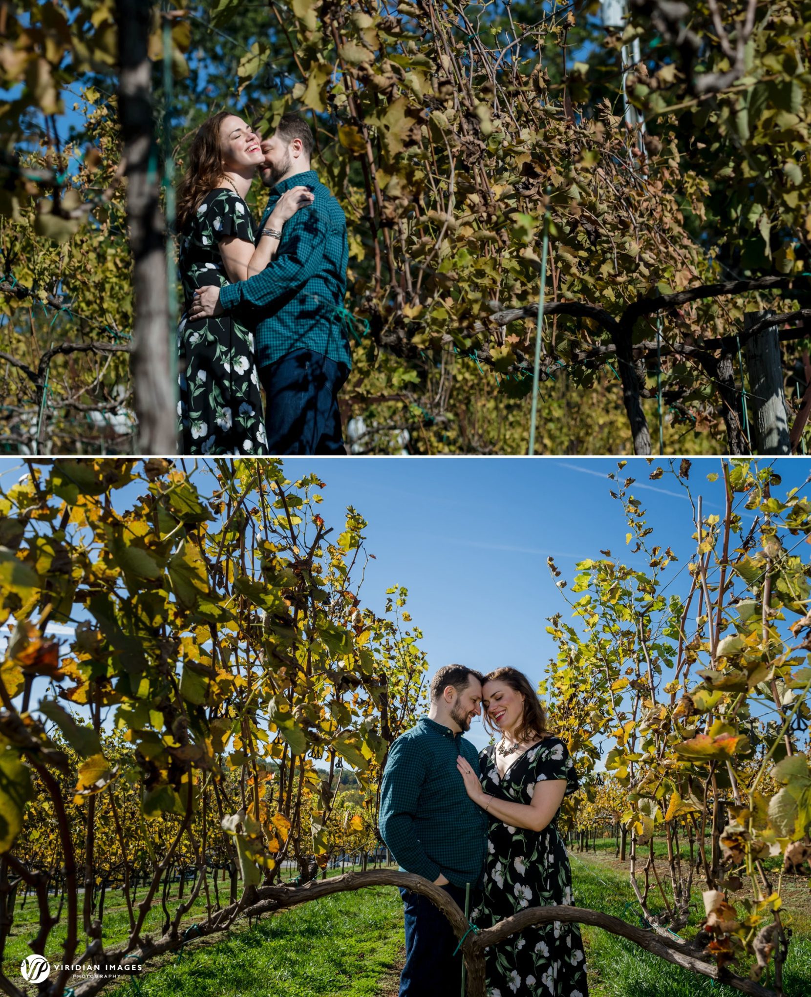 Stephanie laughing with Michael between rows of vines at The Cottage Vineyard and Winery