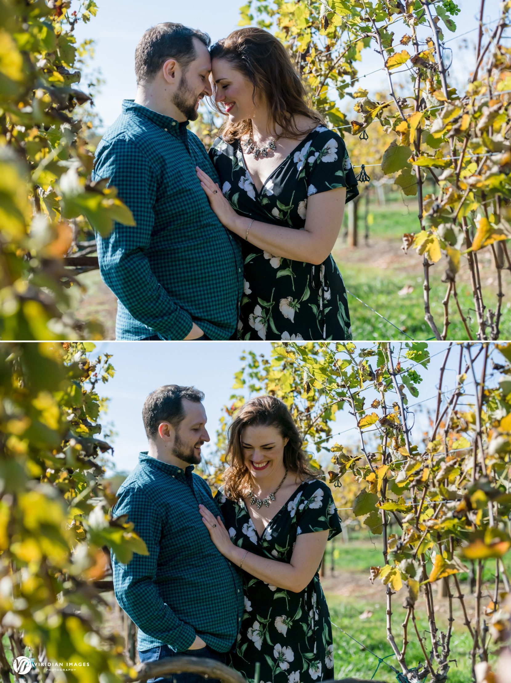 Stephanie and Michael laughing and embracing between vines at The Cottage Vineyard and Winery