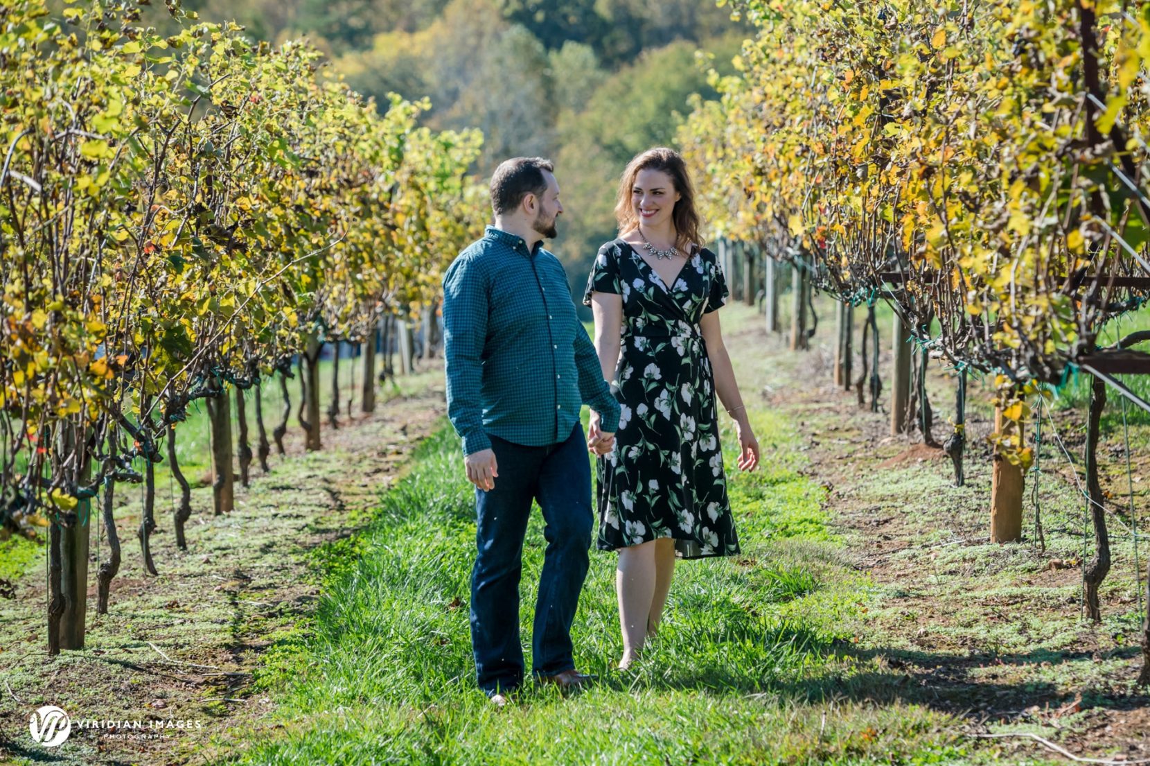 Stephanie and Michael holding hands while walking through vineyard rows at The Cottage Vineyard & Winery