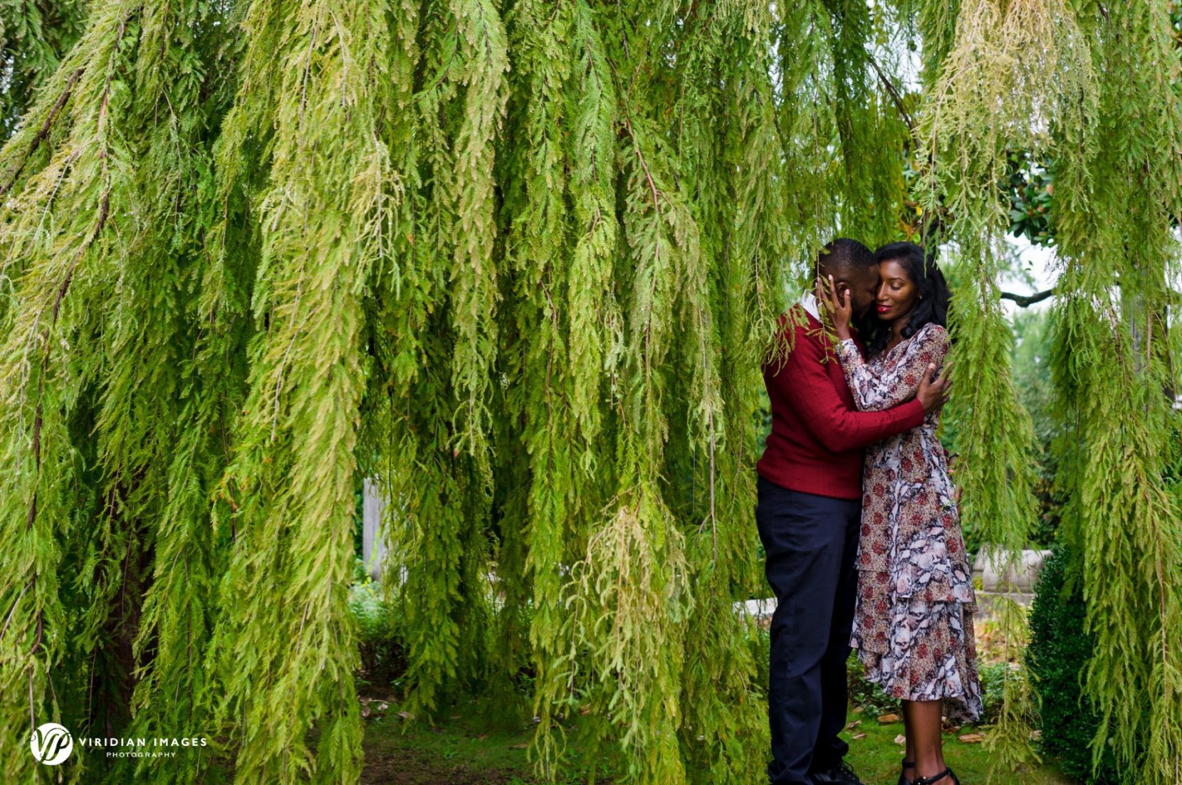 Elegant couple sharing an intimate embrace under weeping willow tree at Oakland Cemetery