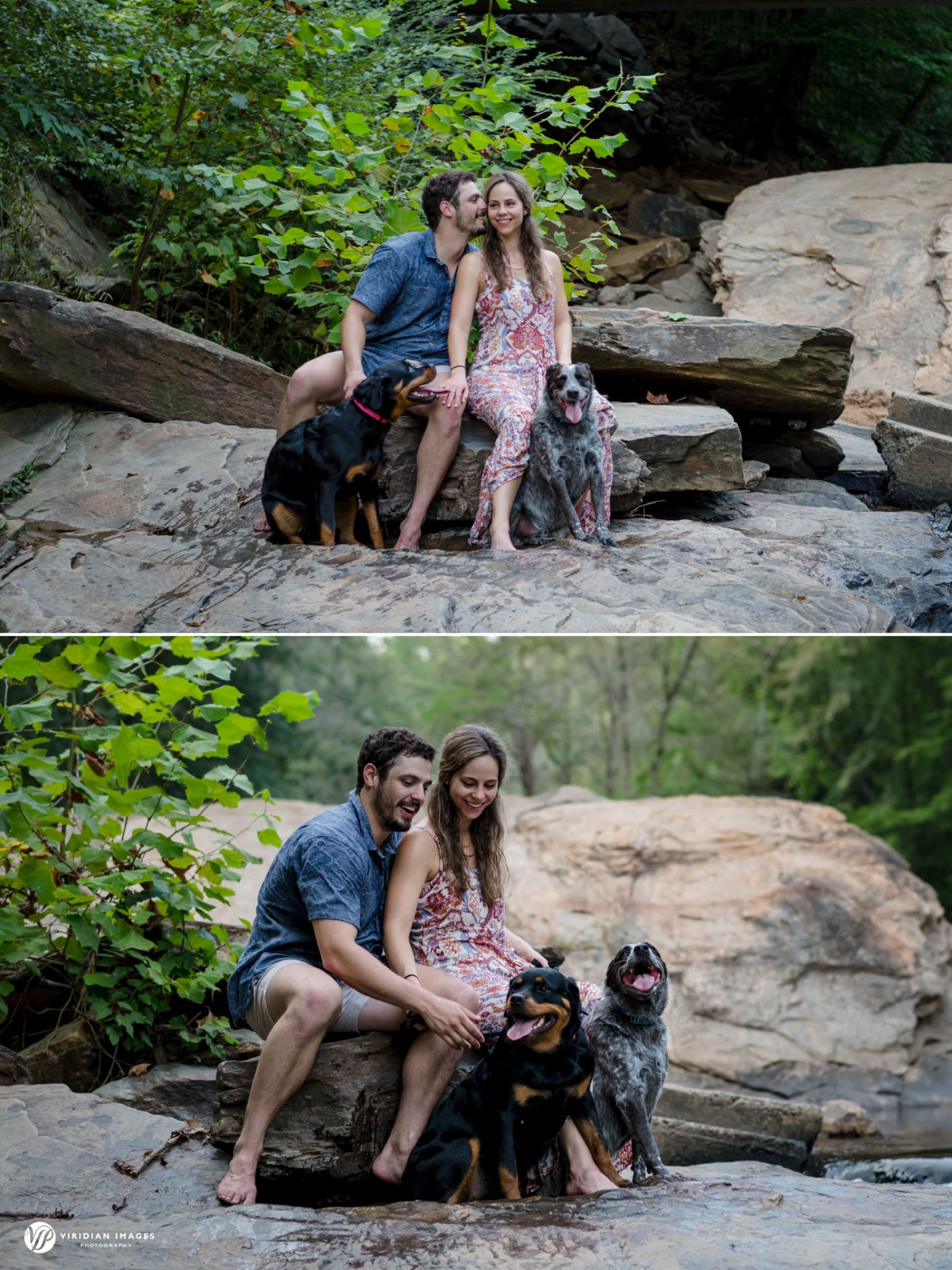 Dogs with engaged couple sitting on rock along river at Sope Creek