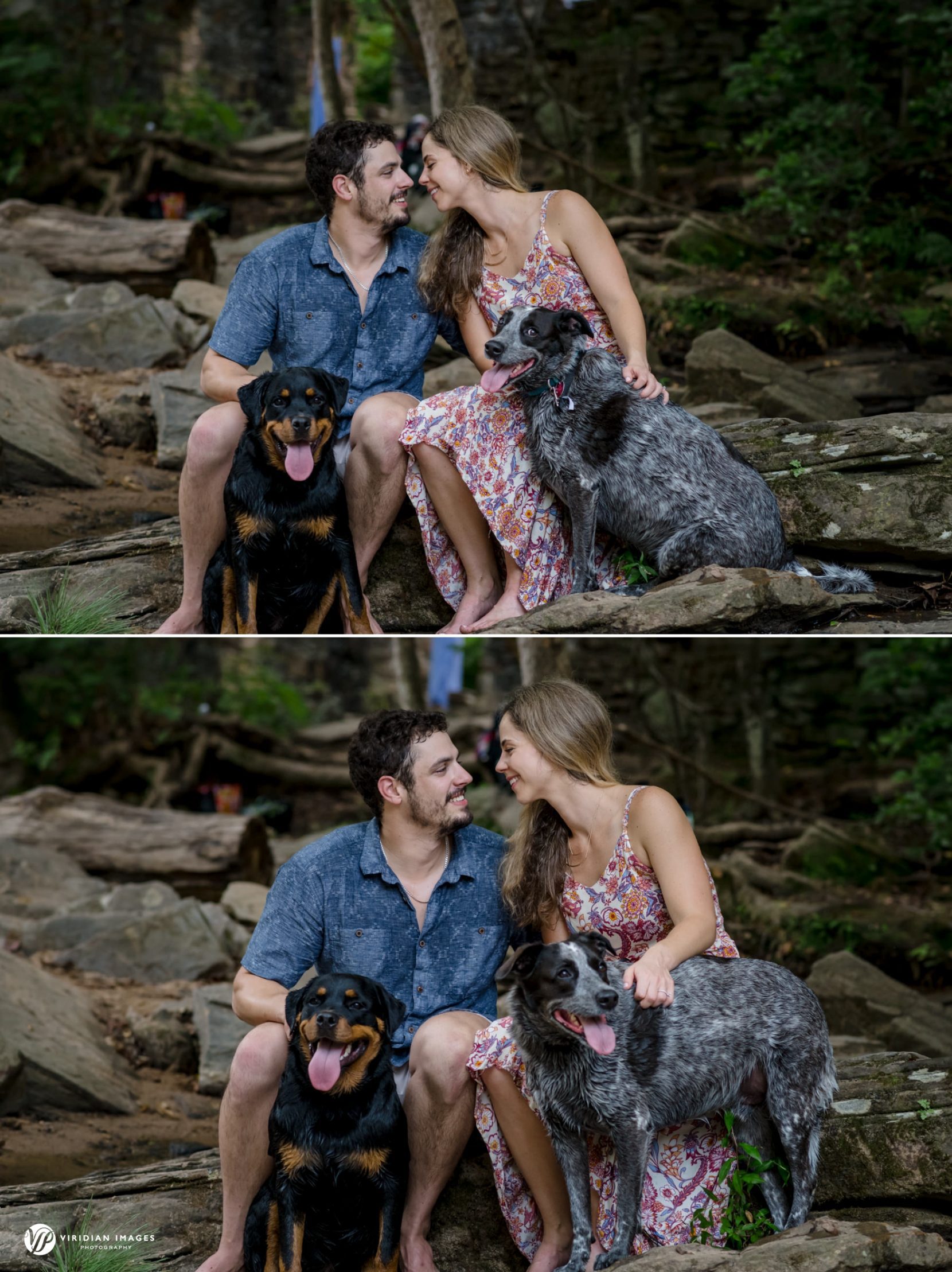 Two dogs join couple during their engagement session at Sope Creek in Atlanta