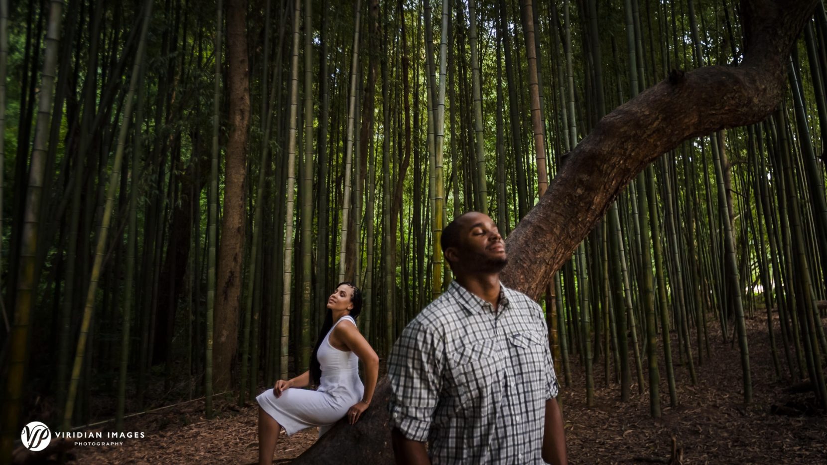 Artistic and editorial-style portrait of engaged couple in bamboo forest in Atlanta