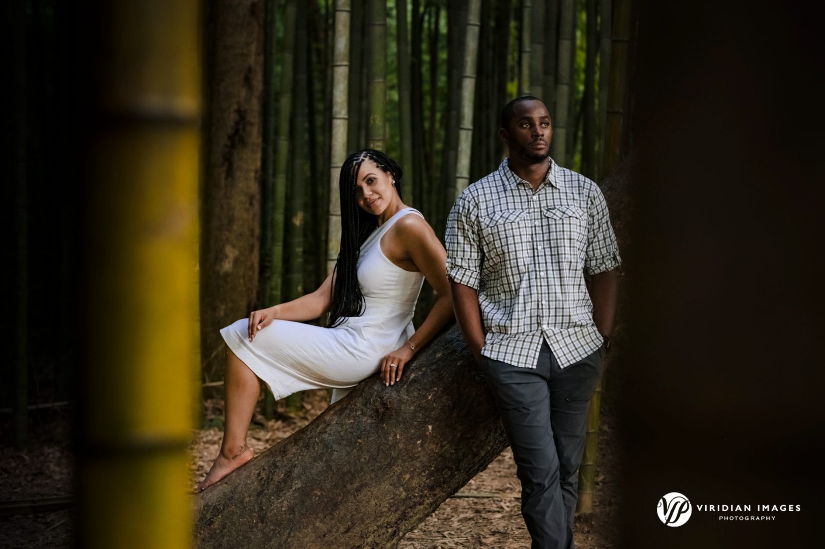 Editorial inspired photo of couple in bamboo grove in Atlanta's East Palisades Trail