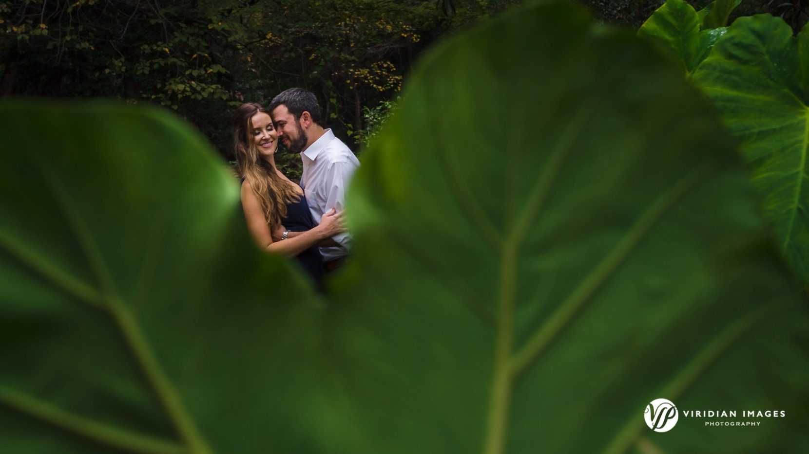 couple photo shot through large green leaves during engagement session at Cator Woolford