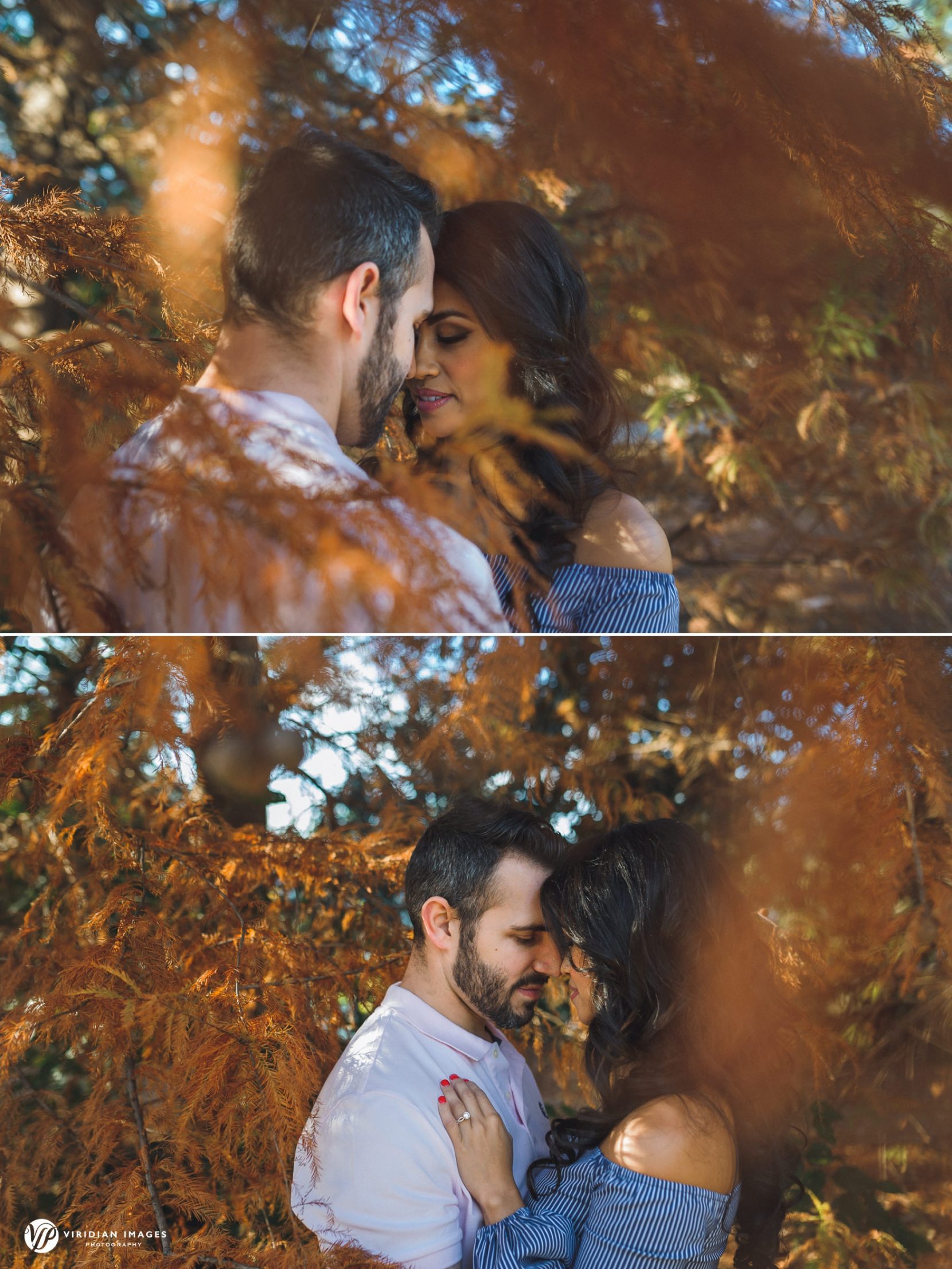 Romantic couple hugging surrounded by fall foliage during engagement session