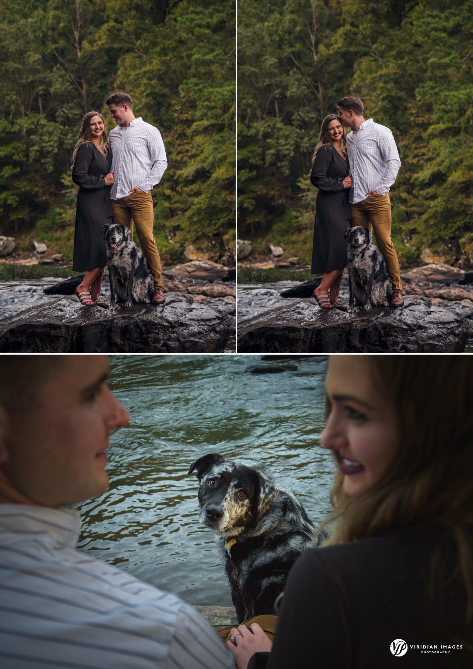 Couple with border collie dog during Sweetwater Creek engagement photos