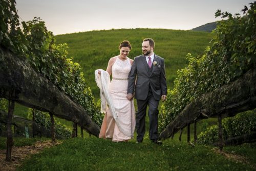 bride and groom walking between grape vines at golden hour