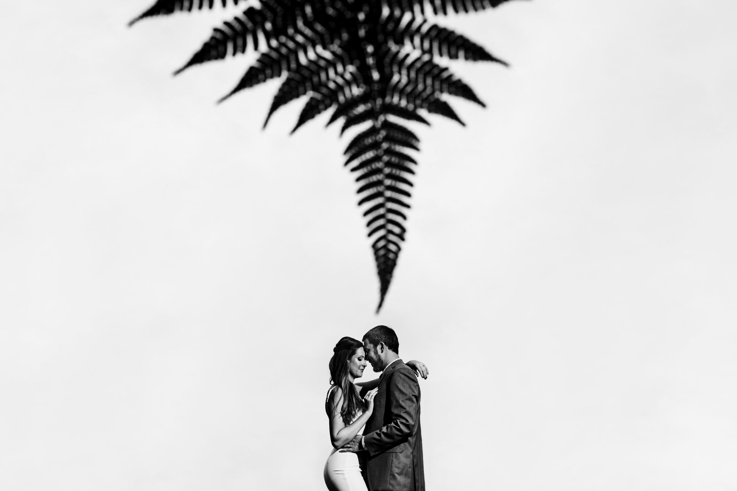 Engaged couple embracing against clear sky with an artistically placed fern leaf at Cator Woodford Garden